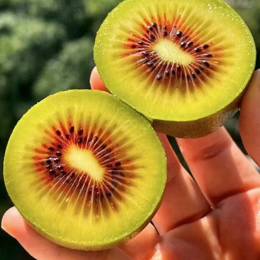 红心猕猴桃/盒（6个果）