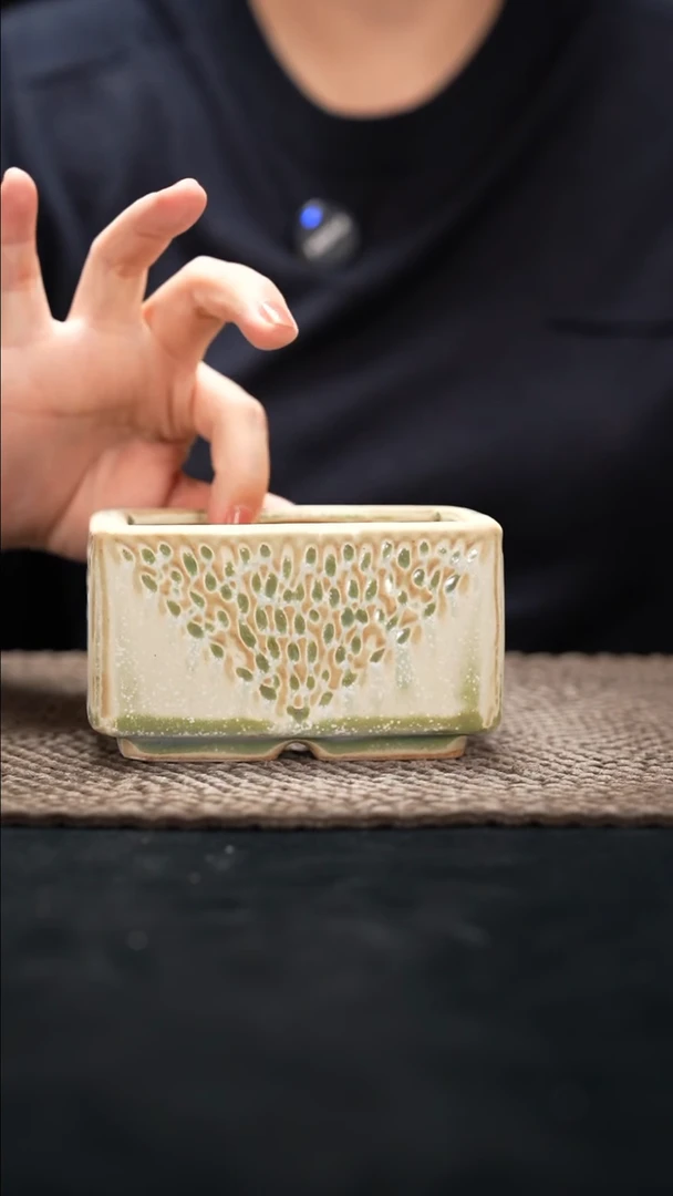 口径10*6花盆9-19-233