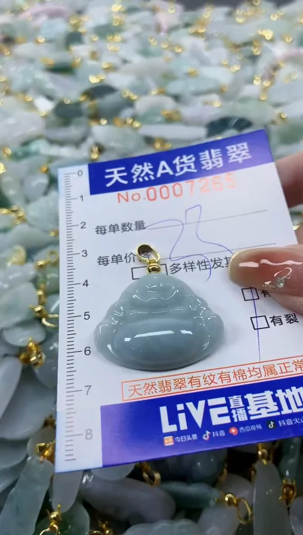 颈饰未镶嵌翡翠天然A货翡翠