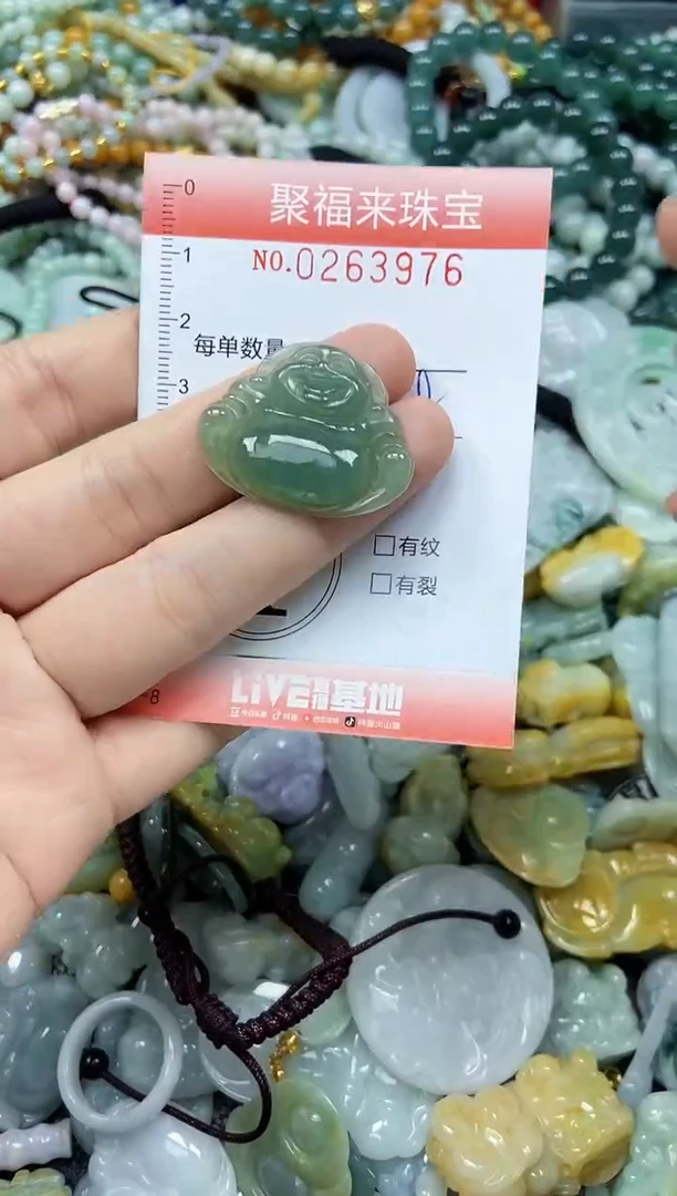 未镶嵌挂件翡翠闪购0263976