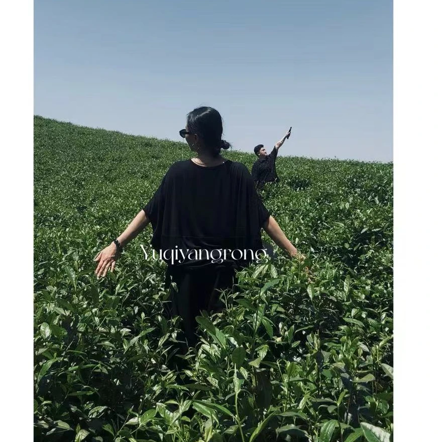 春夏设计款兰精莱赛尔天丝绵羊毛蝙蝠衫船领套头极简慵懒随性2516