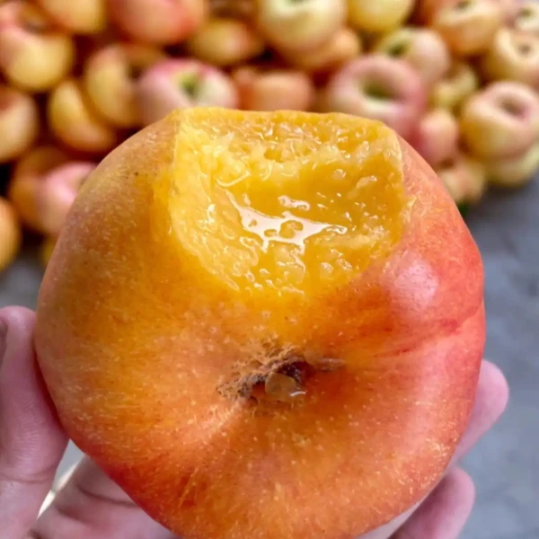 【韩大乐】黄油蟠桃1斤 河北省