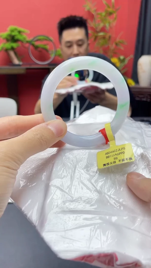 未镶嵌手镯翡翠4