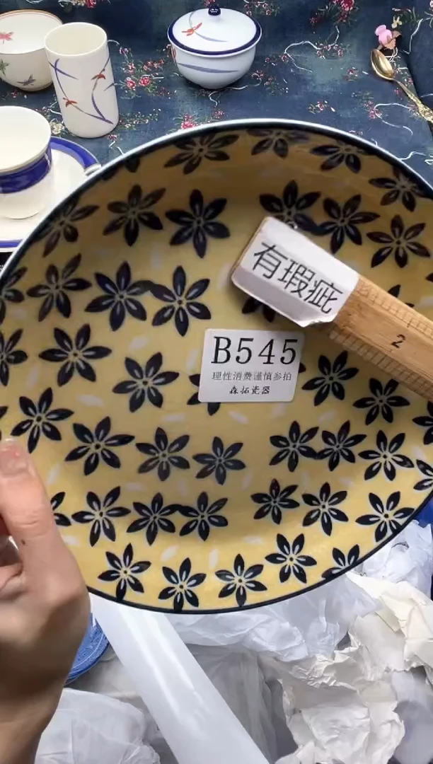 瓷片          B545