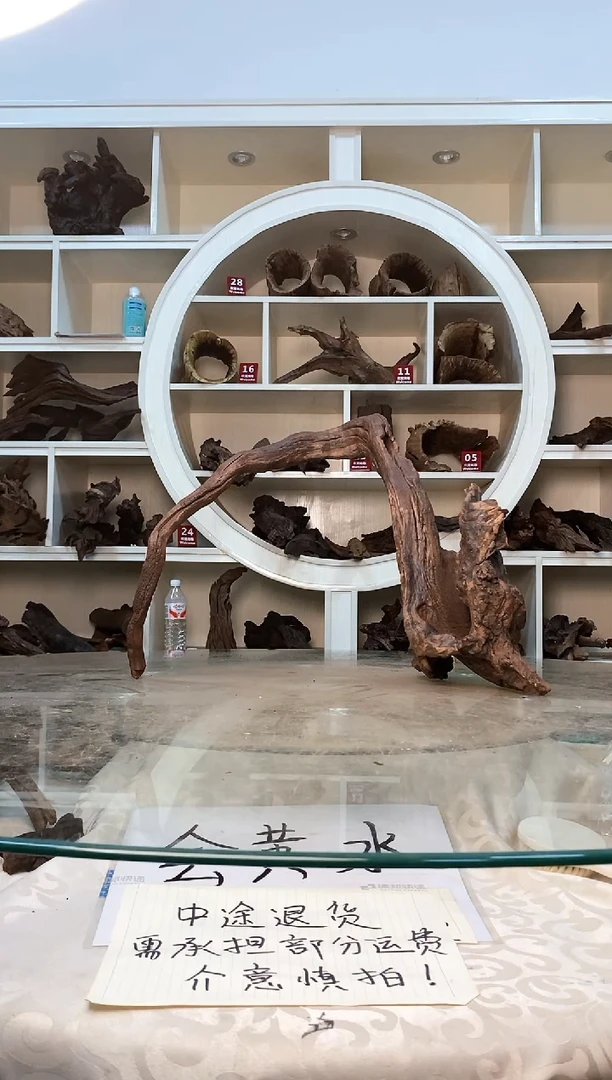 柚木鱼缸造景素材木241
