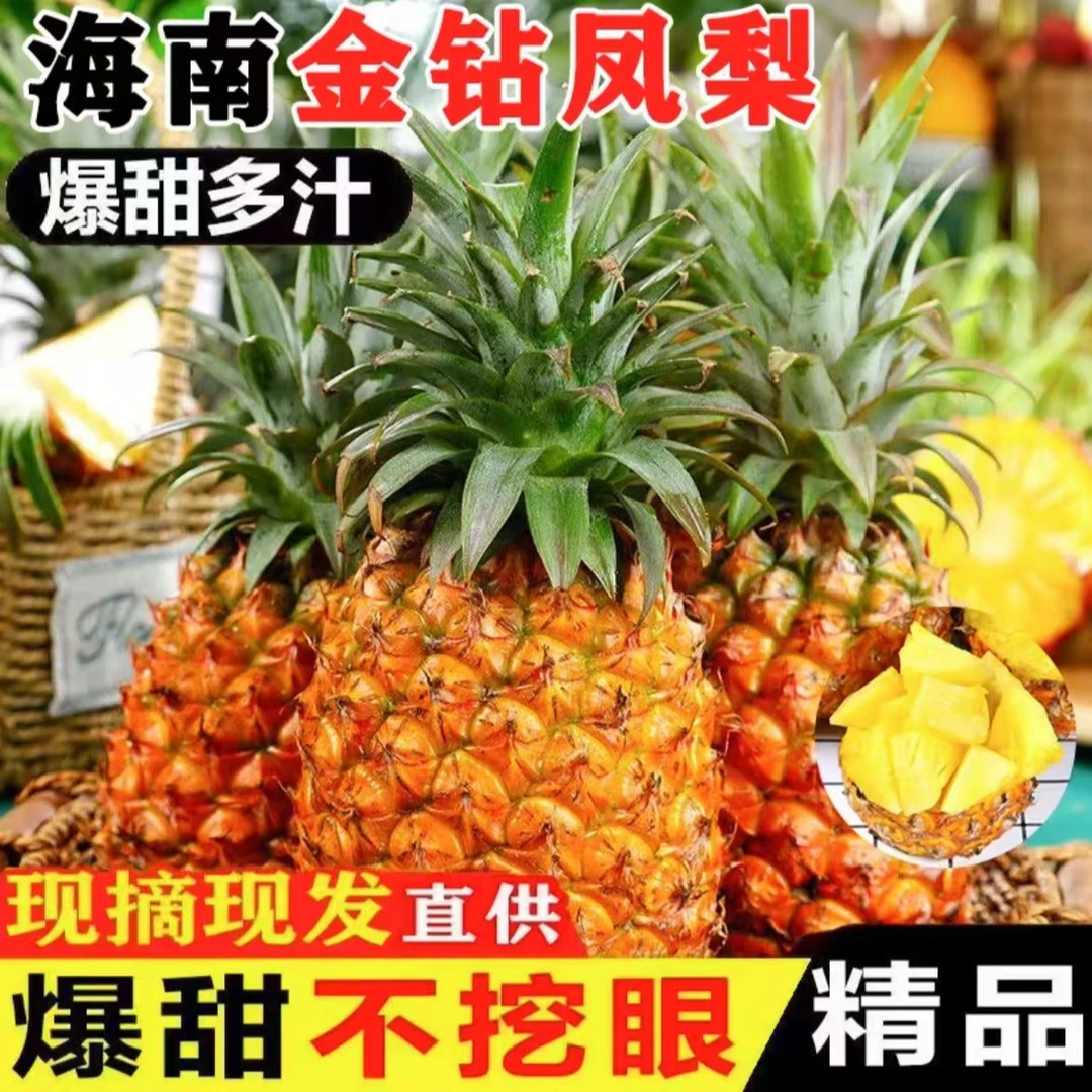 【海南直发】海南金钻凤梨新鲜香水菠萝手撕凤梨香甜多汁产地直发