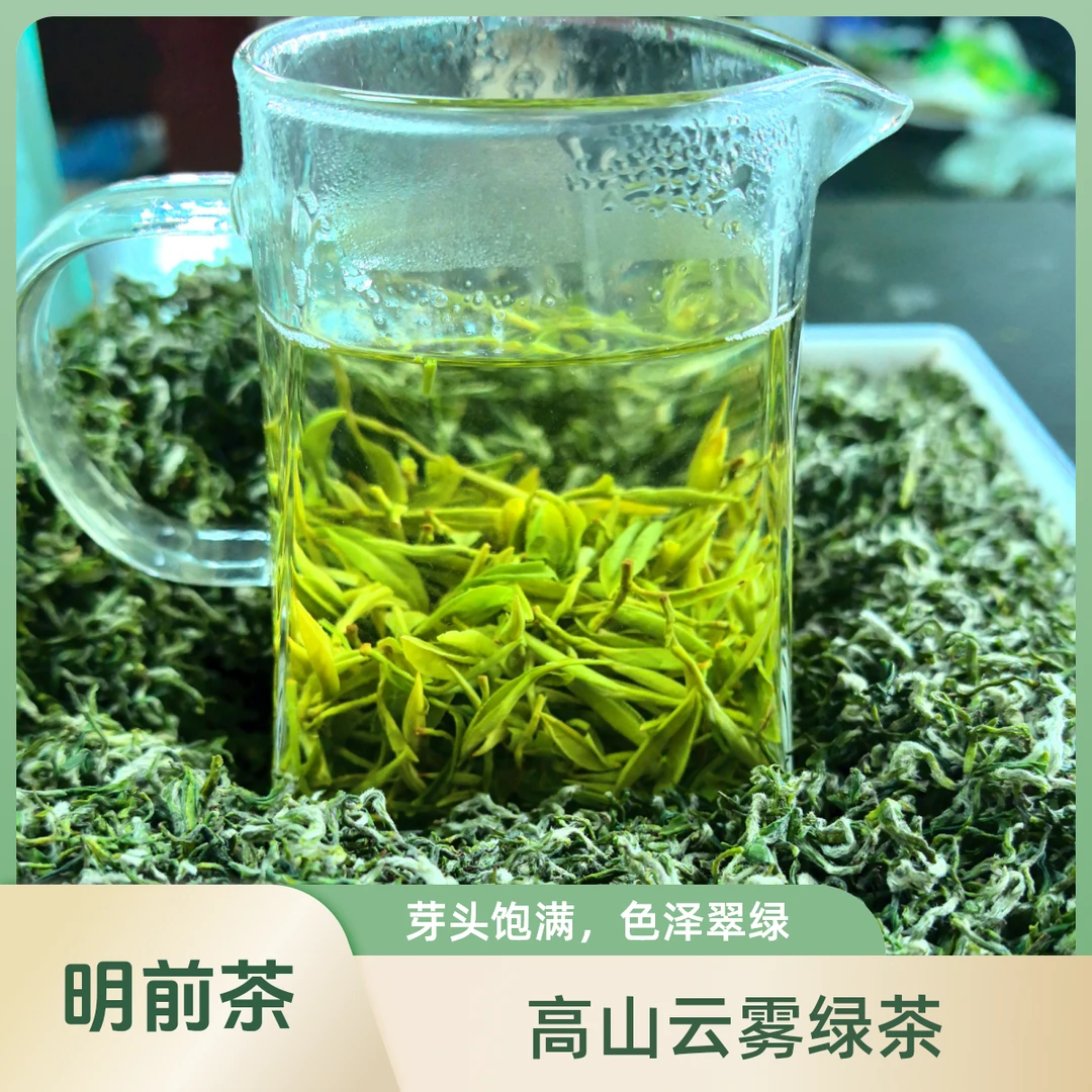 2025年新茶高山云雾绿茶清香回甘明前茶嫩芽嫩芽芽头春茶明前茶