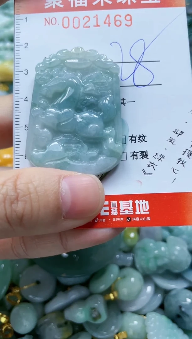 【闪购商品】翡翠颈饰未镶嵌闪购0021469