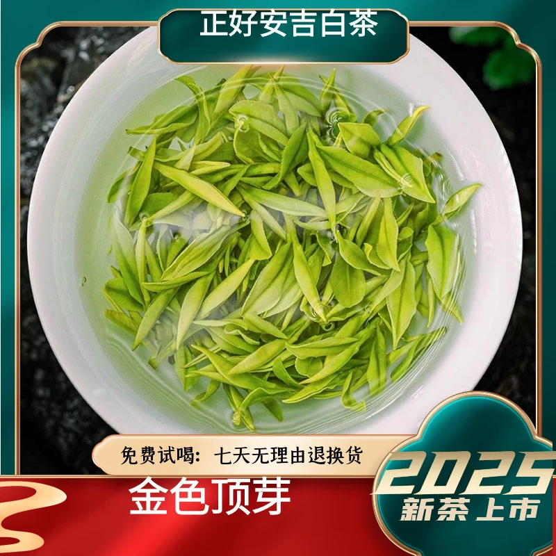 9号【金色顶芽】2025年新茶溪龙正好安吉白茶高白化全米粒撩头茶