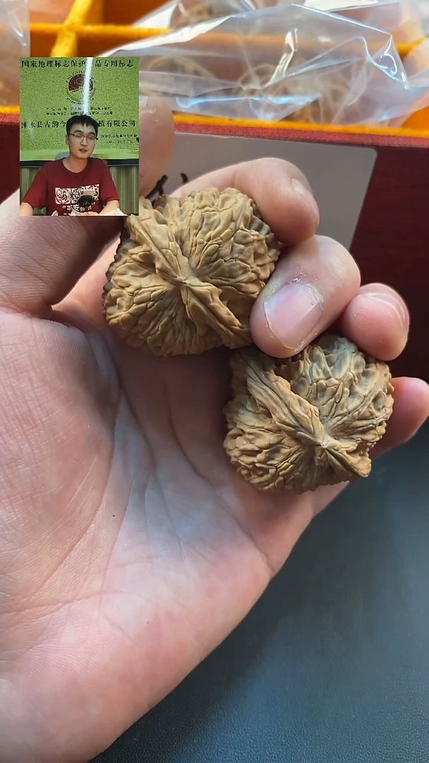 叶**声精品对文玩核桃白狮子