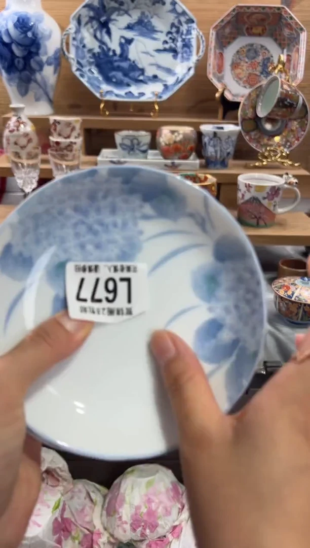 瓷片c****h       L677