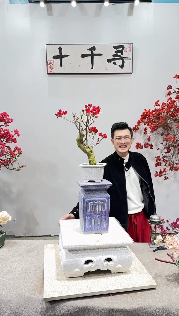 完全开放中国红三角梅