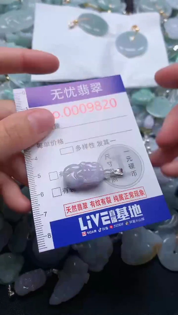 颈饰未镶嵌翡翠9820