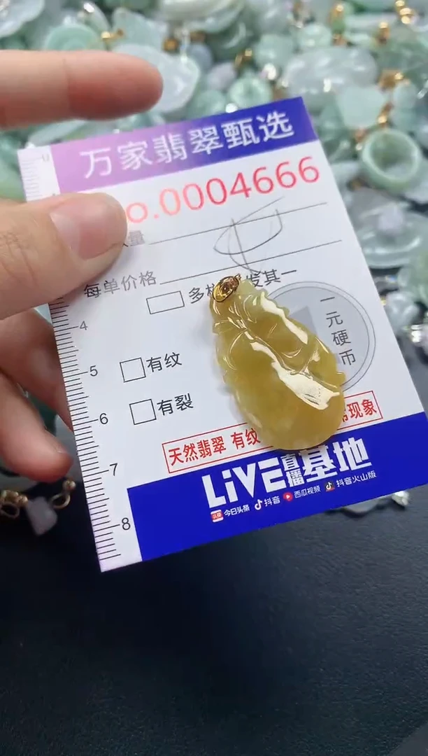 吊坠(不含链)未镶嵌翡翠4666