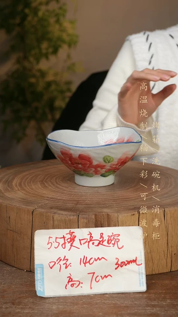 碗瓷景德镇手工手绘高温瓷釉下彩