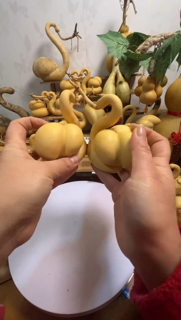 李****）天鹅葫芦精品小店