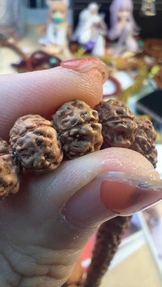 【闪购商品】金刚菩提手串600紫皮勿利达老树王9-13