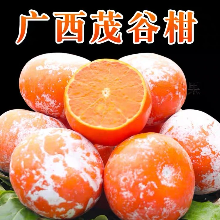 正宗广西茂谷柑新鲜现摘孕妇时令水果脏脏柑皮薄5斤9斤整箱包邮P