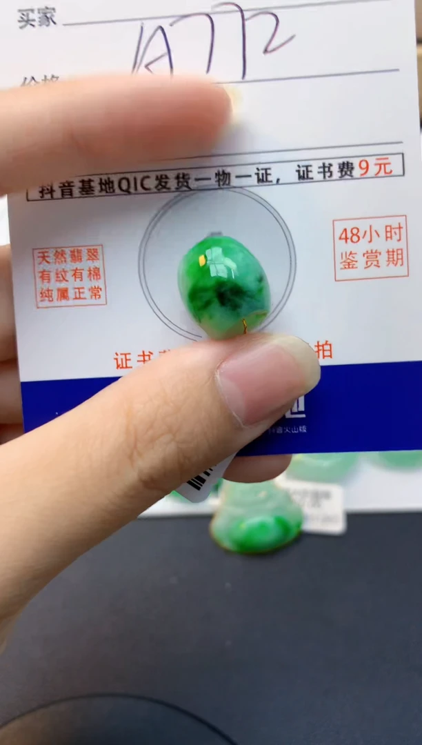 颈饰未镶嵌翡翠天然缅甸A货翡翠百元以上9元证书费自理