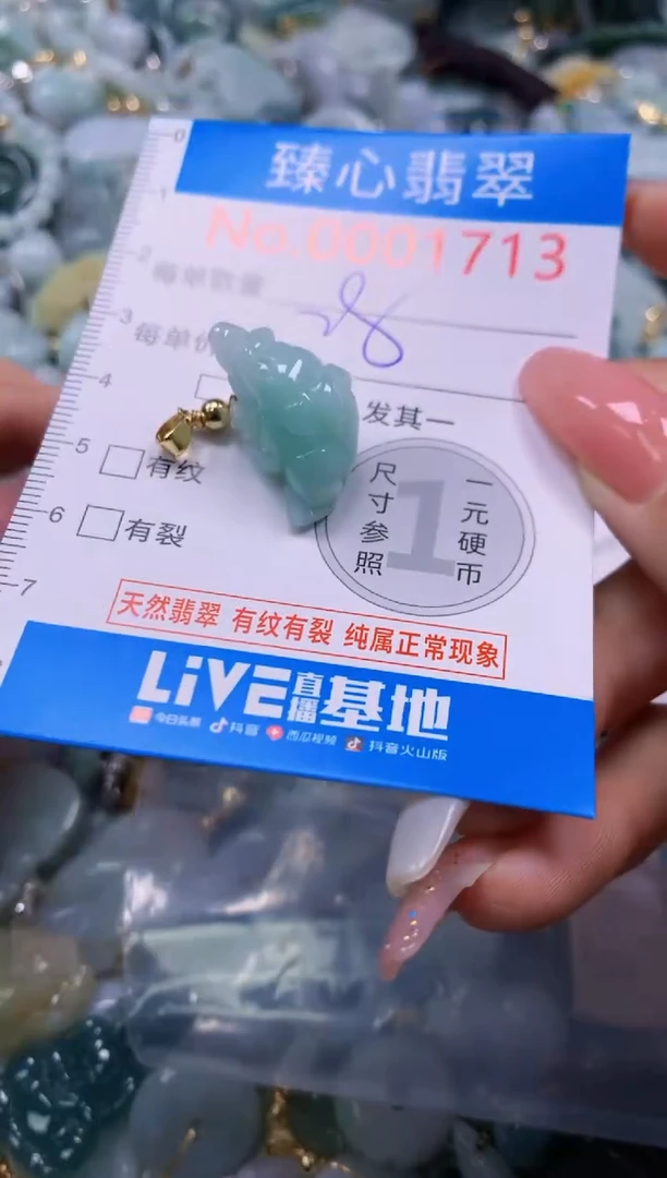 翡翠未镶嵌颈饰1713