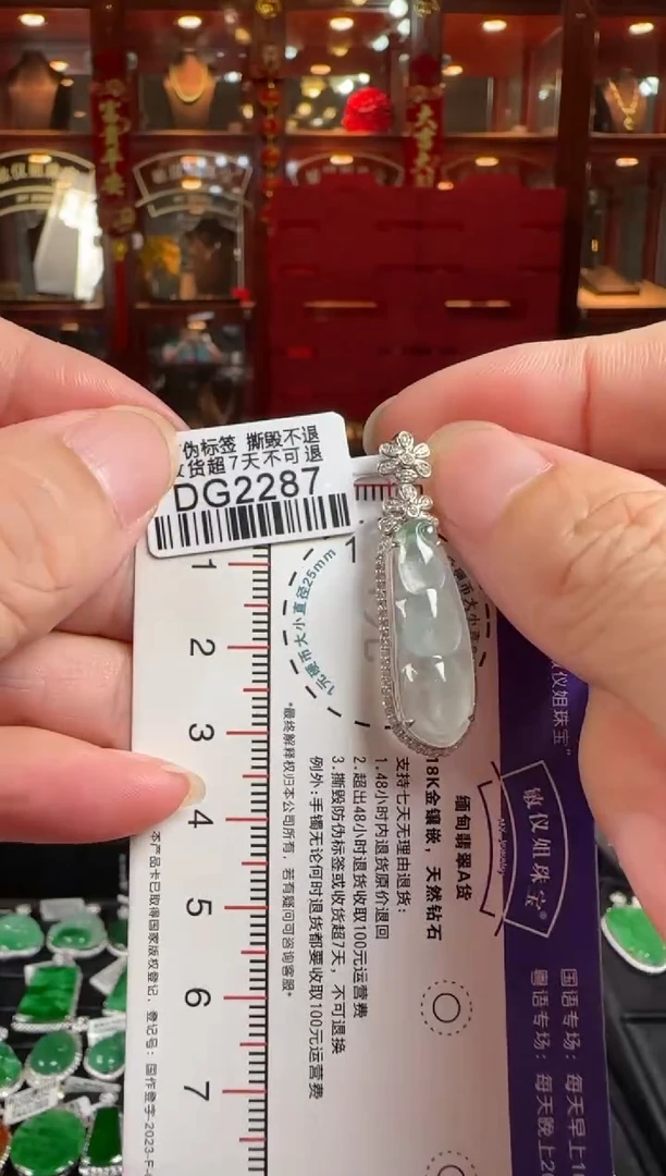 翡翠18K金镶嵌颈饰DG2287冰豆豆