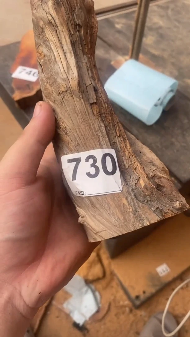 柏木（崖柏）太行崖柏切片一块（津诚林）
