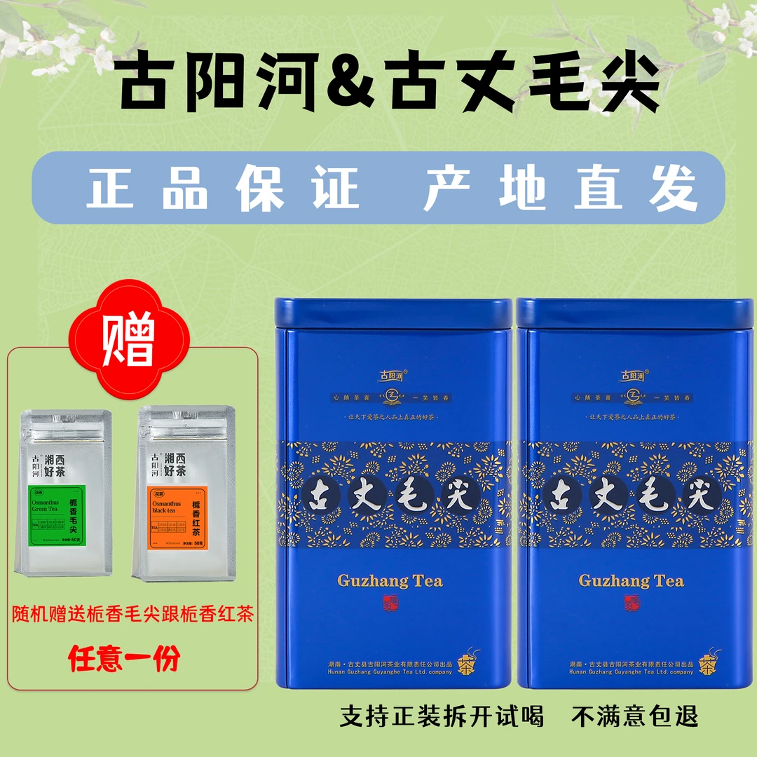 【湖南省首届村播大赛专属】古丈毛尖茶叶原产春季嫩芽浓香型绿茶
