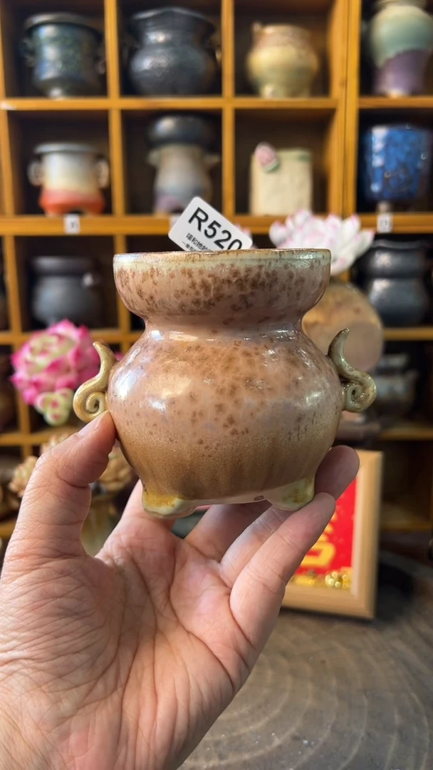 520 内口7【多肉花盆多肉盆】