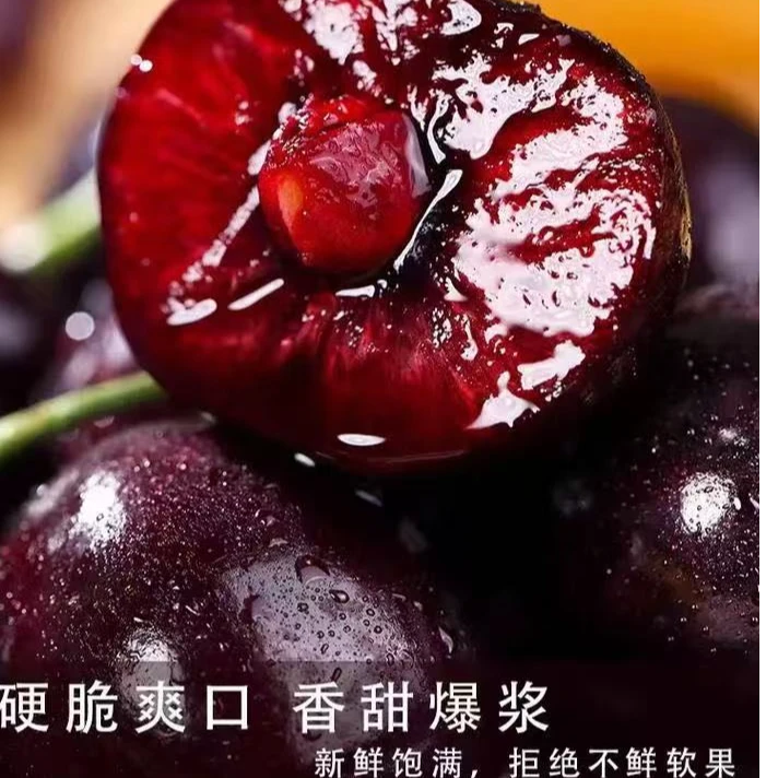 【净重5斤原箱】智利进口黑车海运车厘子新鲜3J内附果径卡桑提娜樱桃智利共和国