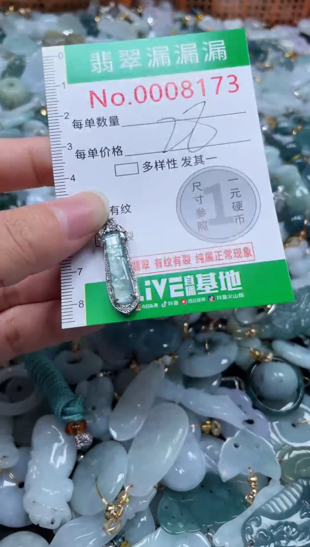 颈饰未镶嵌翡翠8173