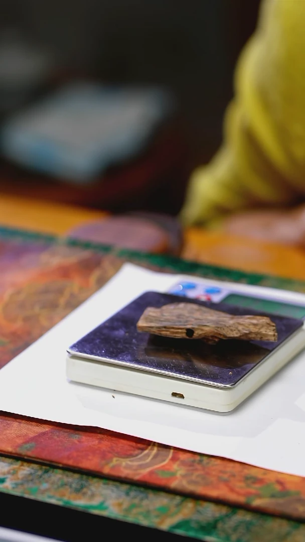 香料母树奇楠虫漏 10.73