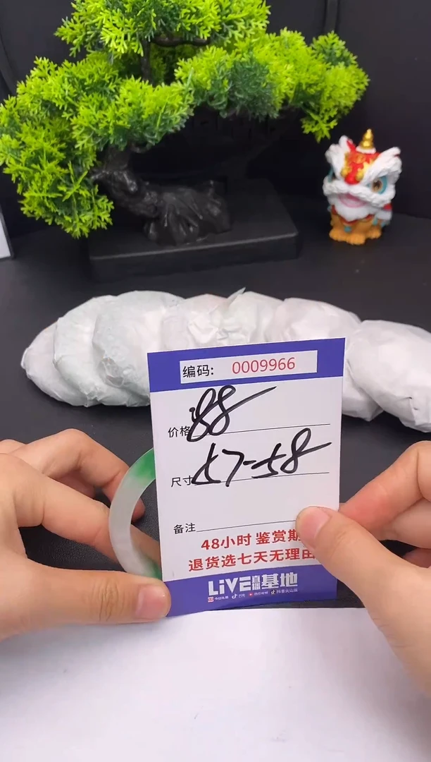 未镶嵌手镯翡翠0009966