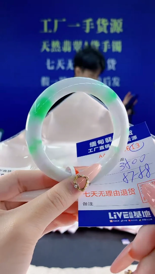 未镶嵌手镯翡翠13