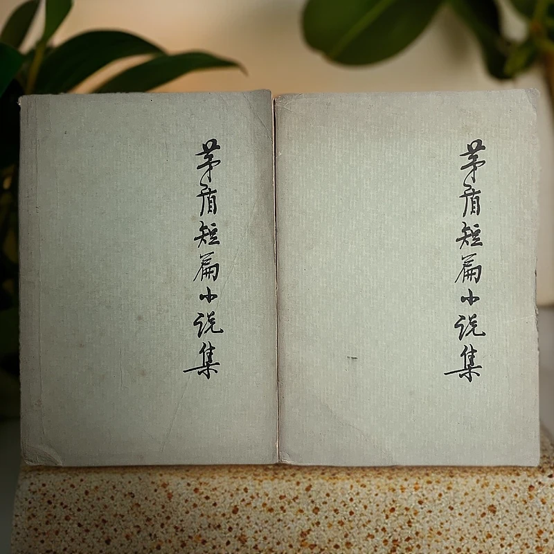 9新  茅盾短篇小说集人民文学出版社1980年1版1印B