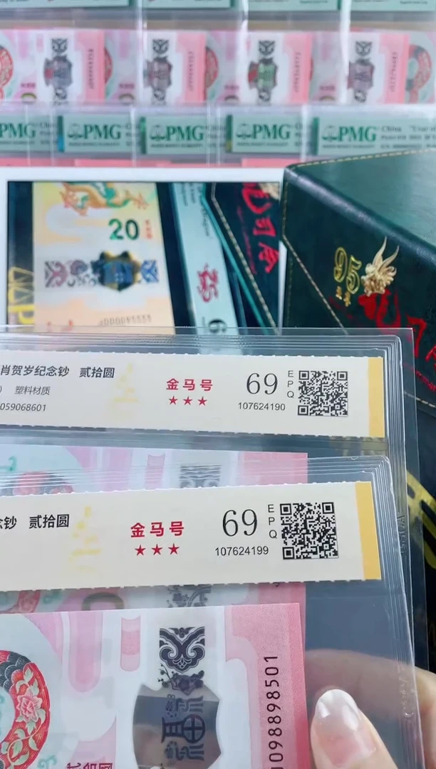 塑料国鉴评级 蛇钞 69 分 独5 金马号