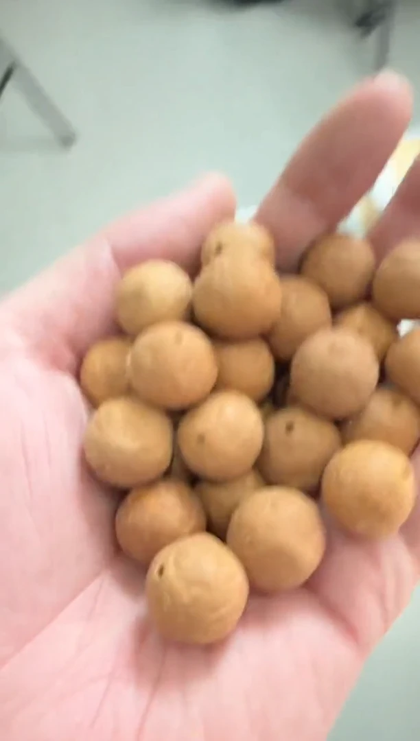 【闪购商品】凤眼菩提吊坠23号散籽200颗