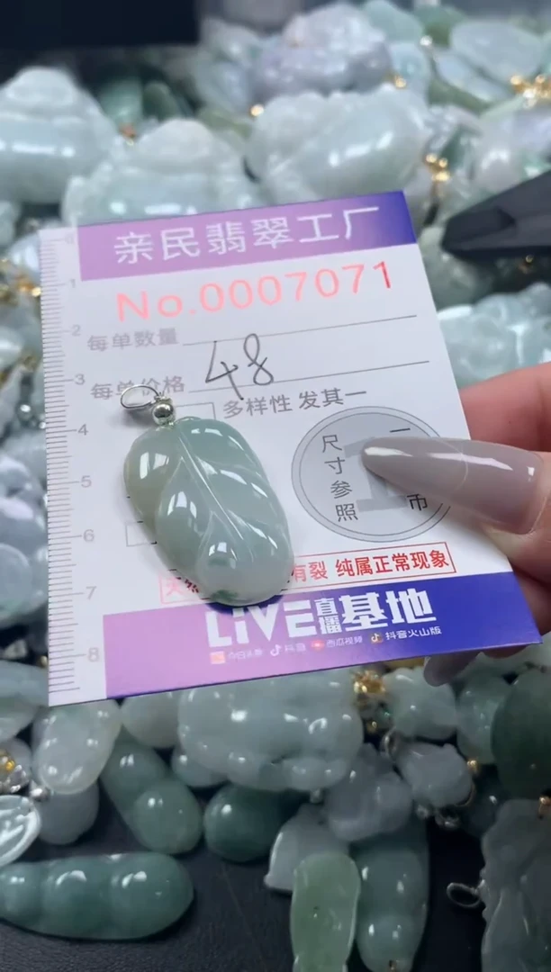 颈饰未镶嵌翡翠7071