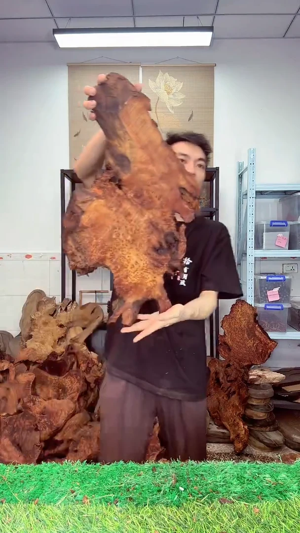 香杉木香杉老料551