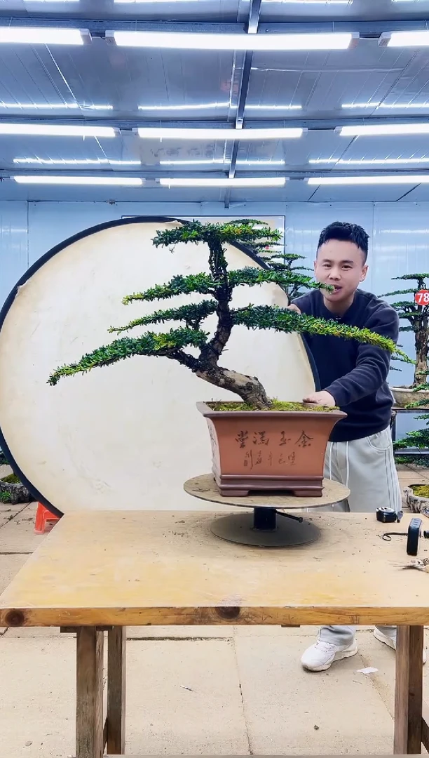 无花朵00000000000000000000