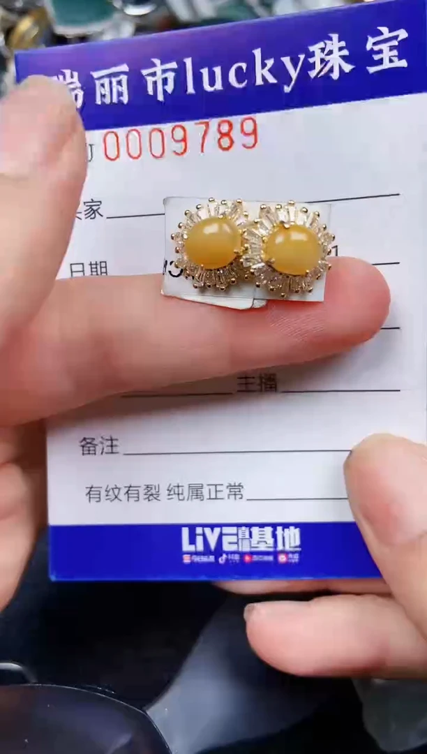 翡翠银S925镶嵌颈饰9789