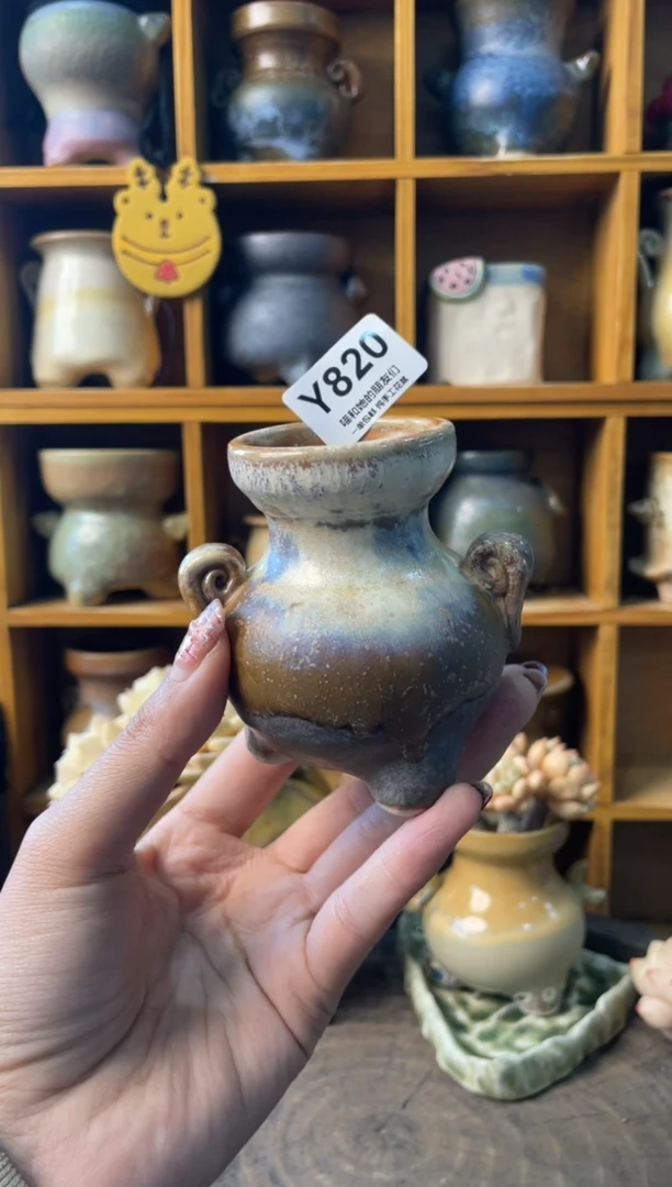 820内口4【多肉花盆多肉盆】