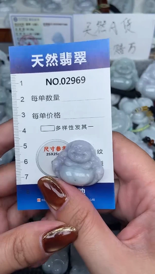颈饰未镶嵌翡翠纯天然A货翡翠2969