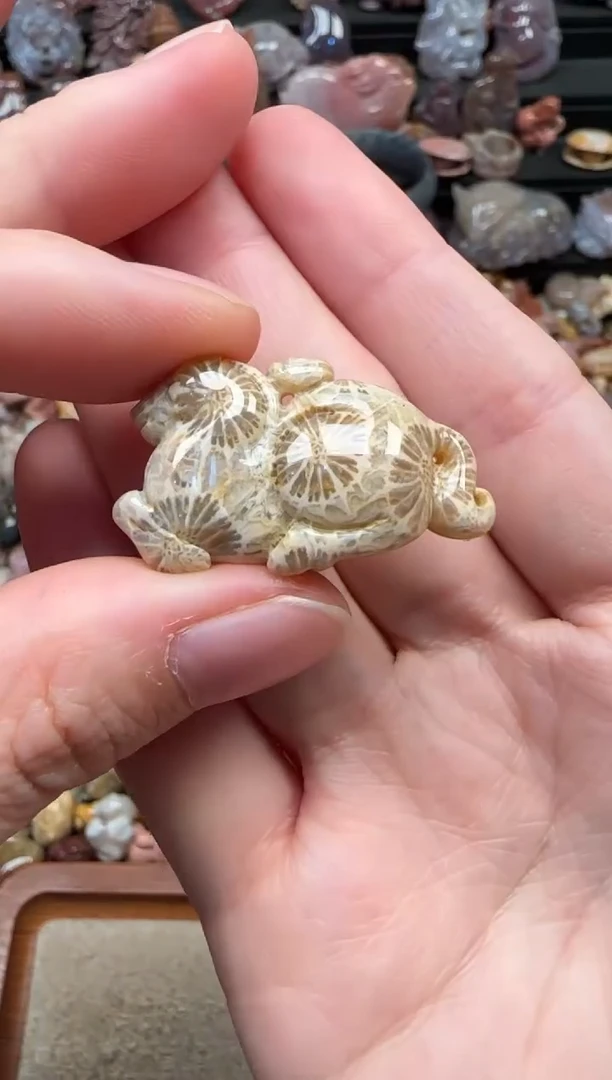 颈饰未镶嵌硅化珊瑚（珊瑚玉）844