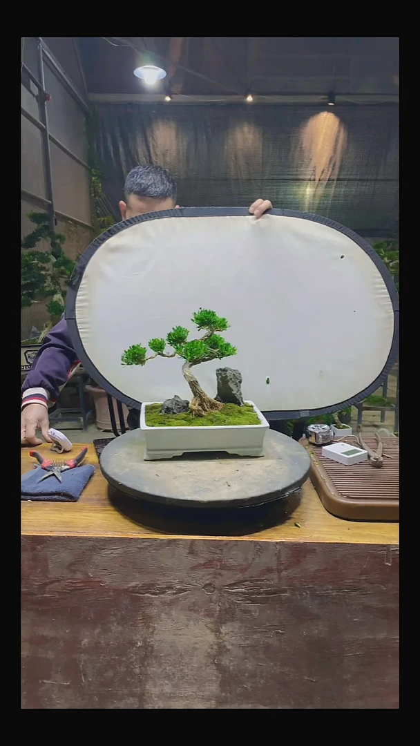 完全开放赞11111111111111