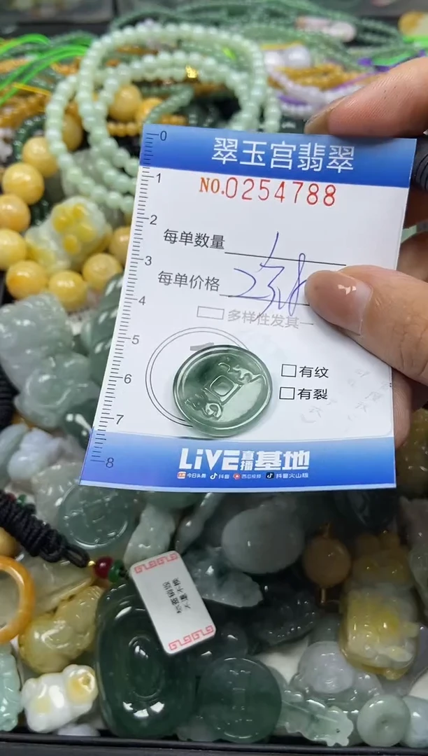 颈饰未镶嵌翡翠闪购C0254788