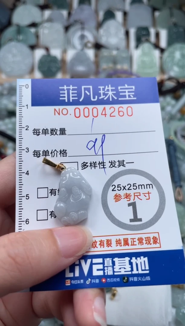 翡翠未镶嵌颈饰00..4260