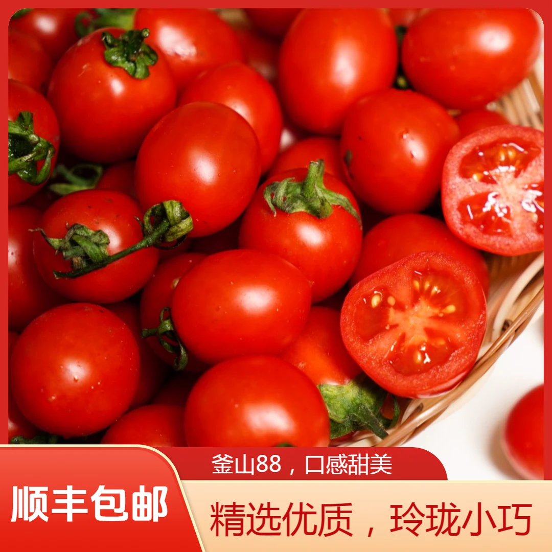 正宗釜山88小番茄玲珑圣女果现摘现发水果西红柿顺丰京东包邮