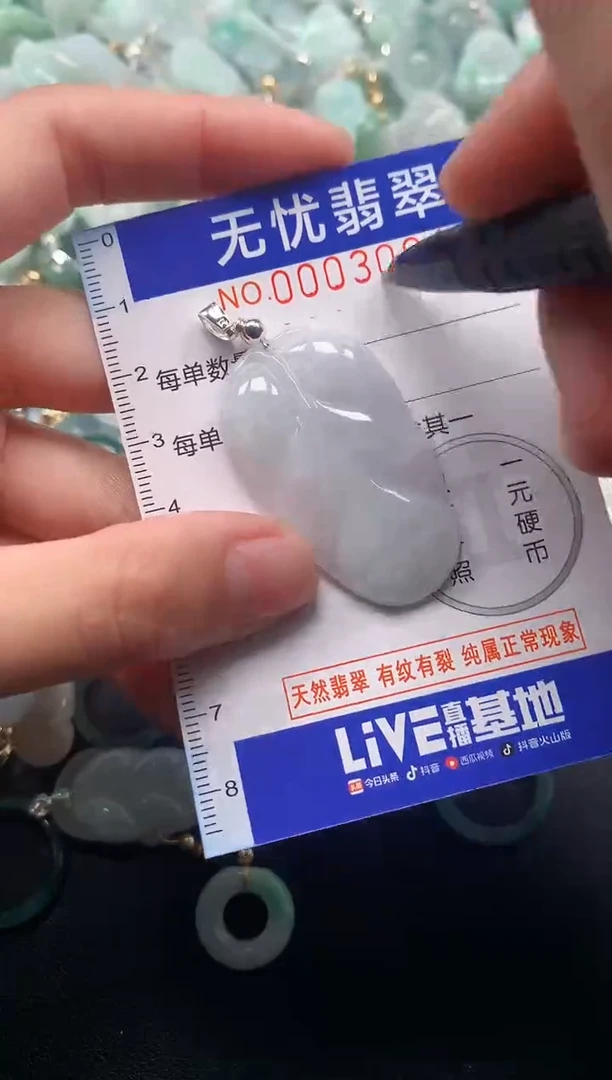 颈饰未镶嵌翡翠3064