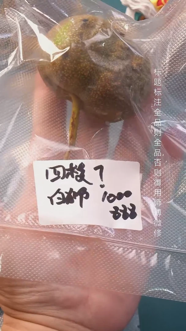 把件桃核白狮子青皮异形