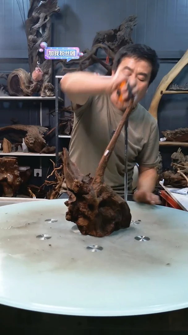 911清香阁清香阁清香阁